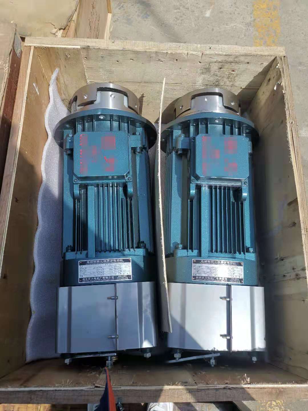 電機1.jpg